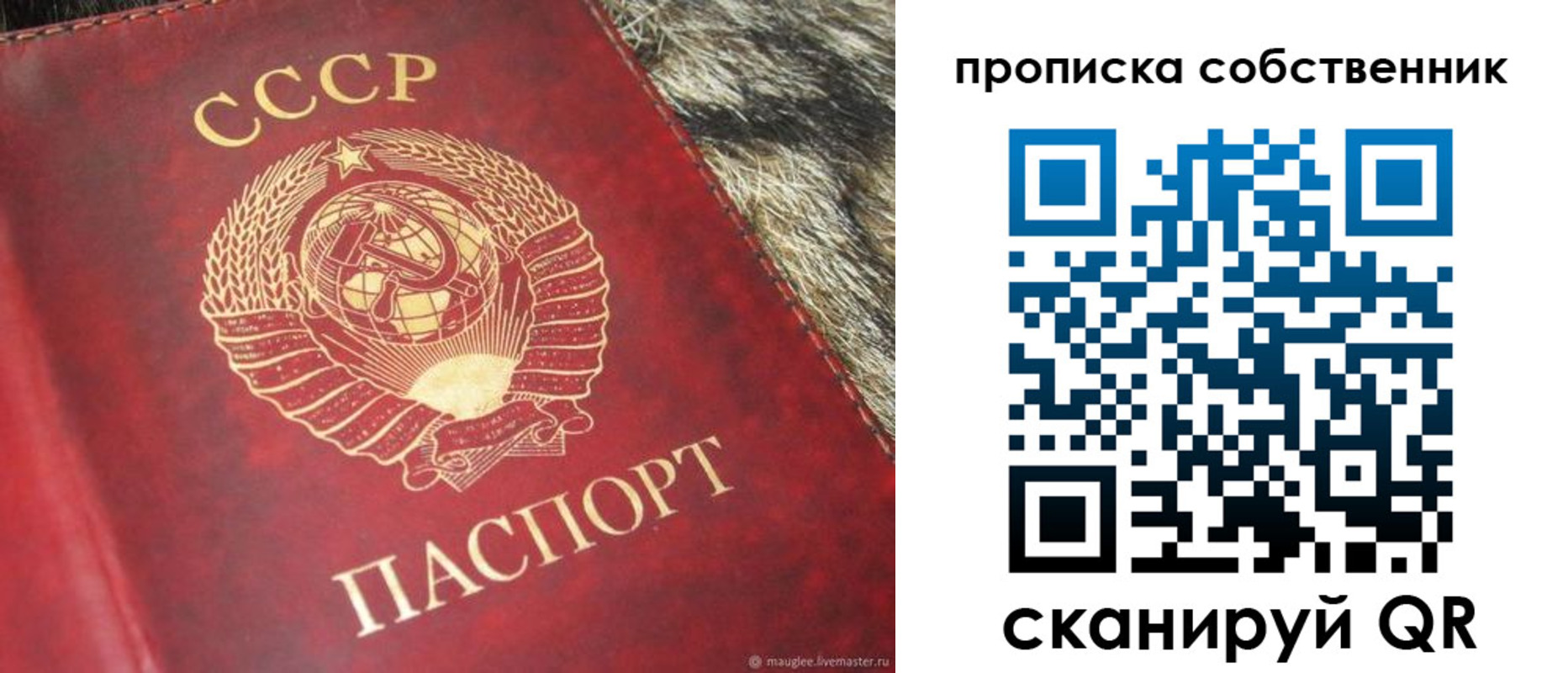 прописка в квартире в Мариинском Посаде